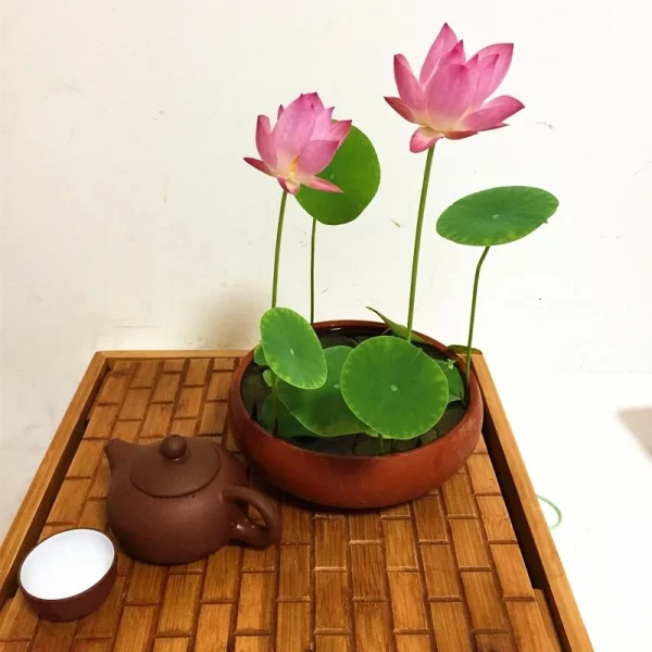 THE SACRED BONSAI LOTUS FLOWER - Image 5