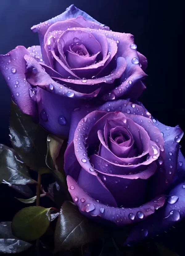 RARE PURPLE ROSE PLANT SEEDS FOR HOME GARDENS